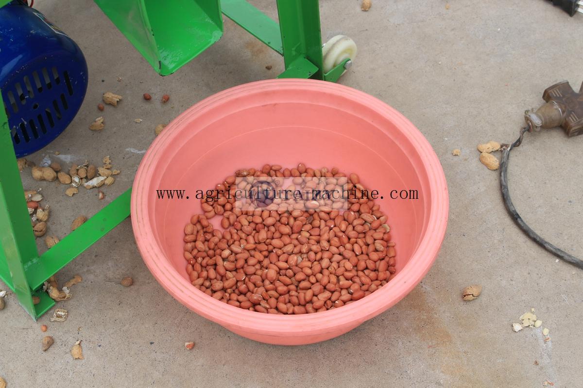 Peanut-Sheller06