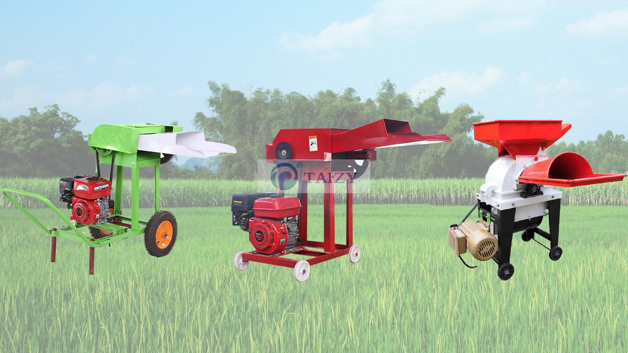 Animal feed cutting grass machine | straw cutter | grass cutter with great capacity