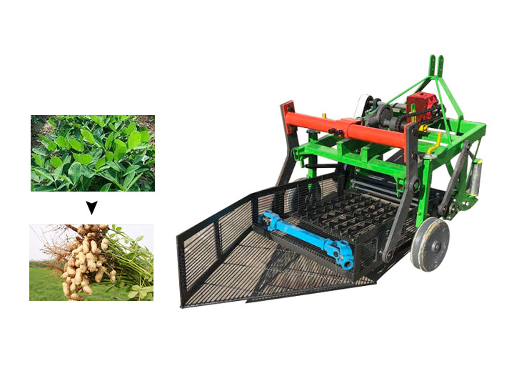 Peanut planter丨Groundnut planting machine