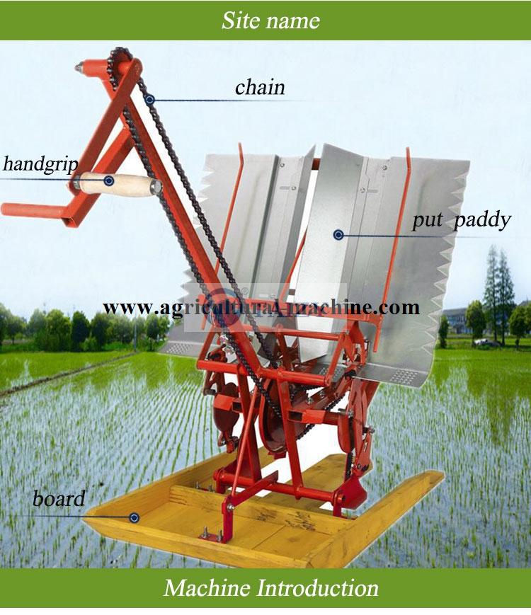 Structure Of 2 Row Rice Transplanter Machine
