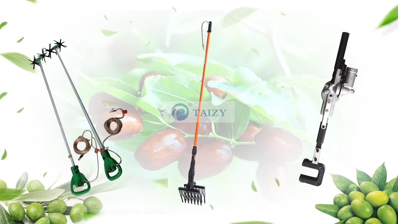 Electric olive picking machine nut fruit picker
