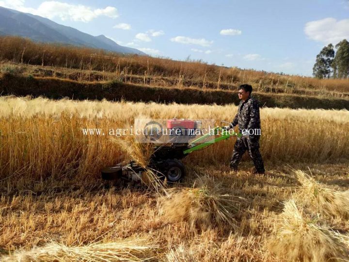 mesin pengering dan pengikat pemotong gandum beras