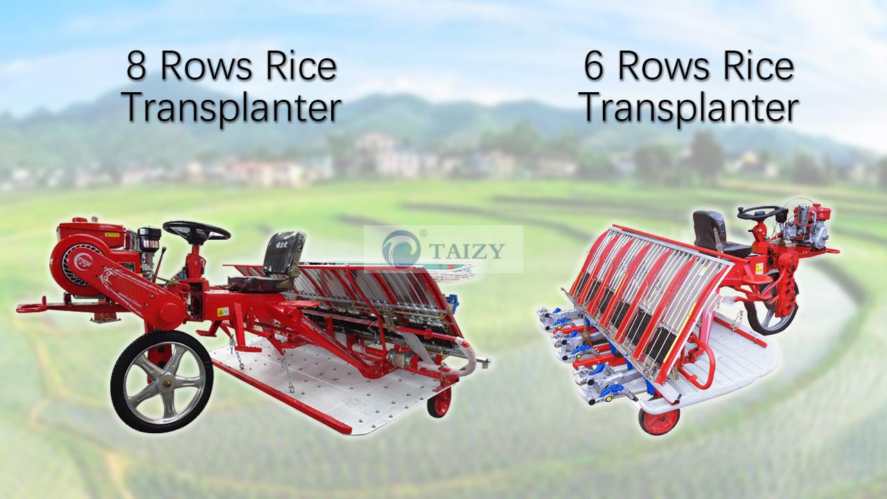 2 row Rice transplanter machine
