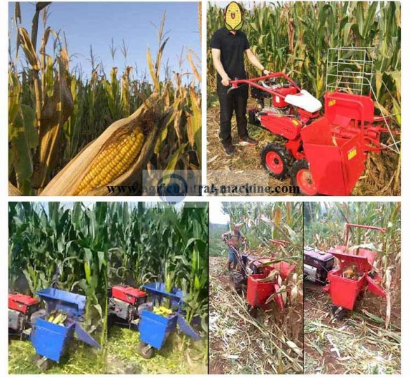 Efficient Corn Maize Harvester Machine With Affordable Price