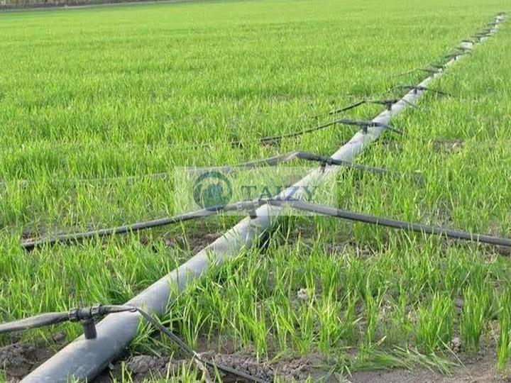 Drip Irrigation