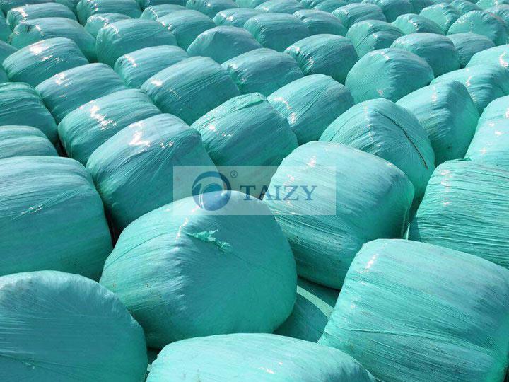 Ensilage ou ensilage de maïs