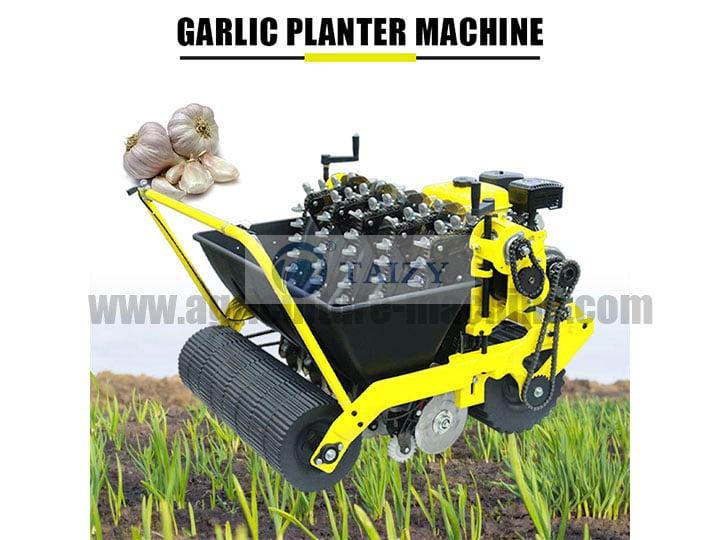 Garlic planter | Garlic sowing machine for sale