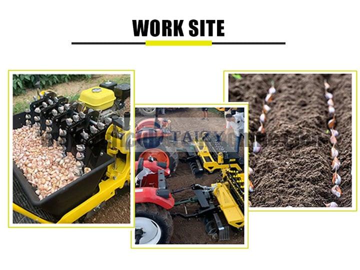 https://static.agriculture-machine.com/wp-content/uploads/2021/04/plant-garlic.jpg