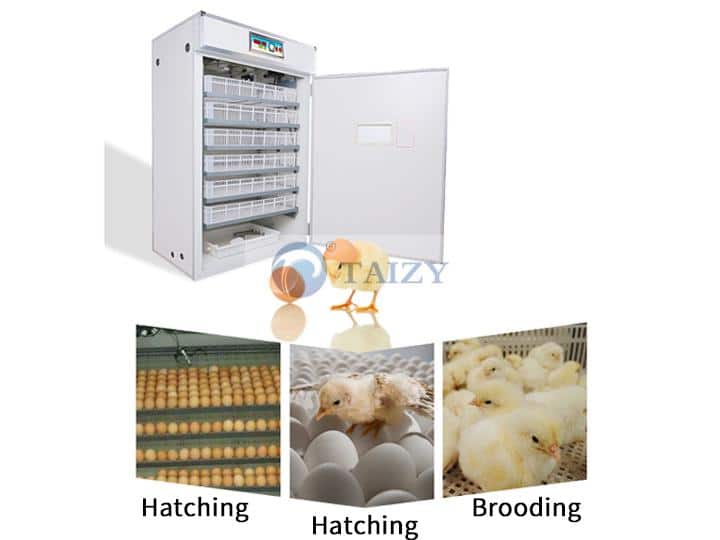 Chicken egg incubator | hatching machines | brooder