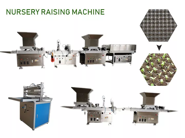Nursery seeding machine | Seeder machine | Vegetable seeder machine