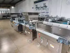 Machine à semer en plateau de pépinière