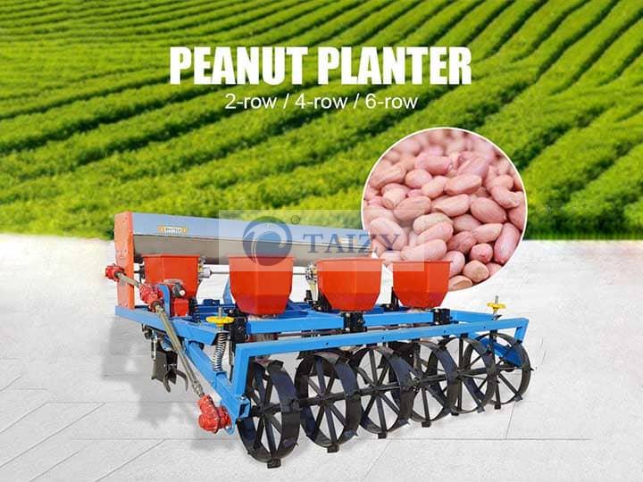 4 row peanut groundnut seed planter equipment