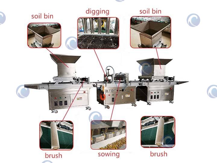 Plug Seedling Machine‘s Structure