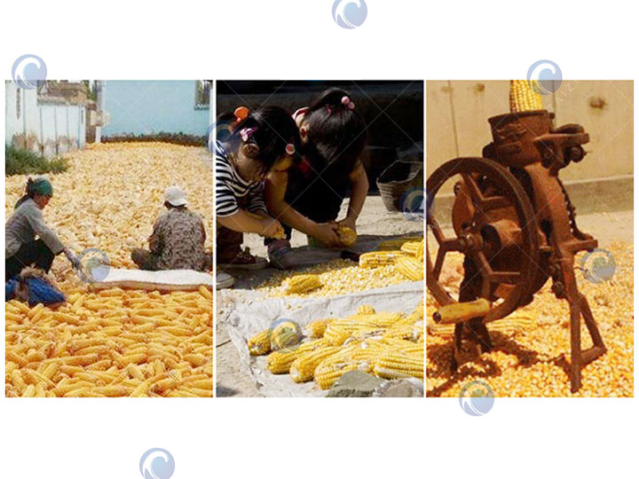 Traditional Threshing Method