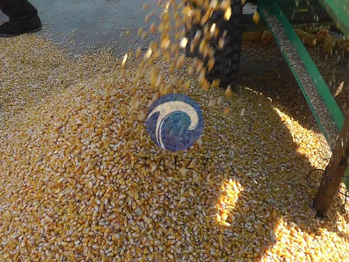 Descarga de la máquina trilladora de maíz