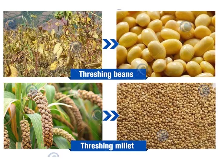 Multifunctional Maize Threshing Machine Application