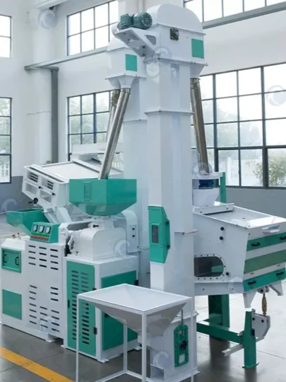 30T Paddy Processing Line