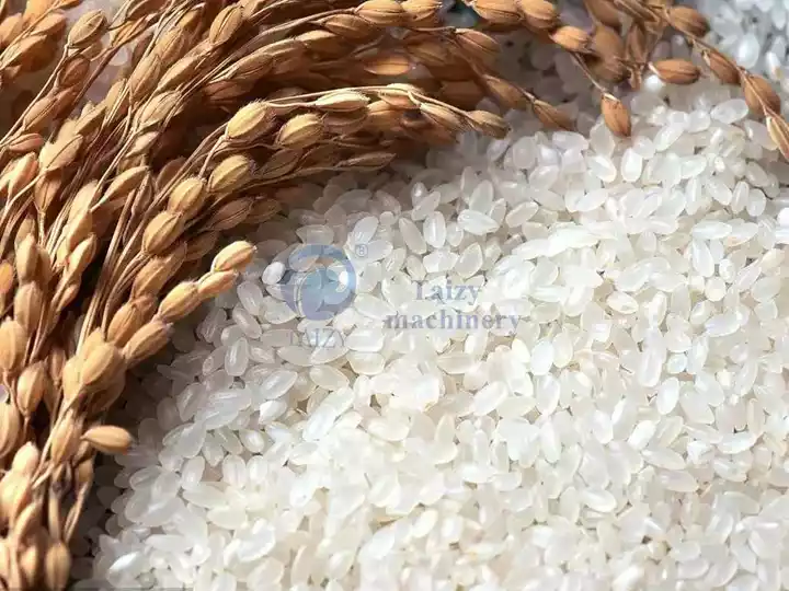 Arroz moído