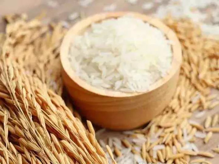 الأرز المصقول