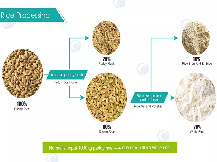 Análisis del procesamiento del arroz