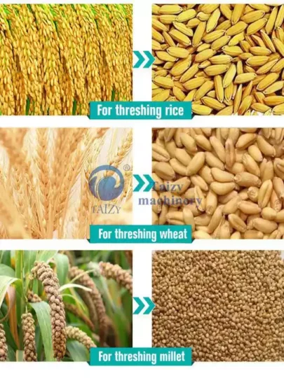 Aplicaciones de la trilladora de arroz