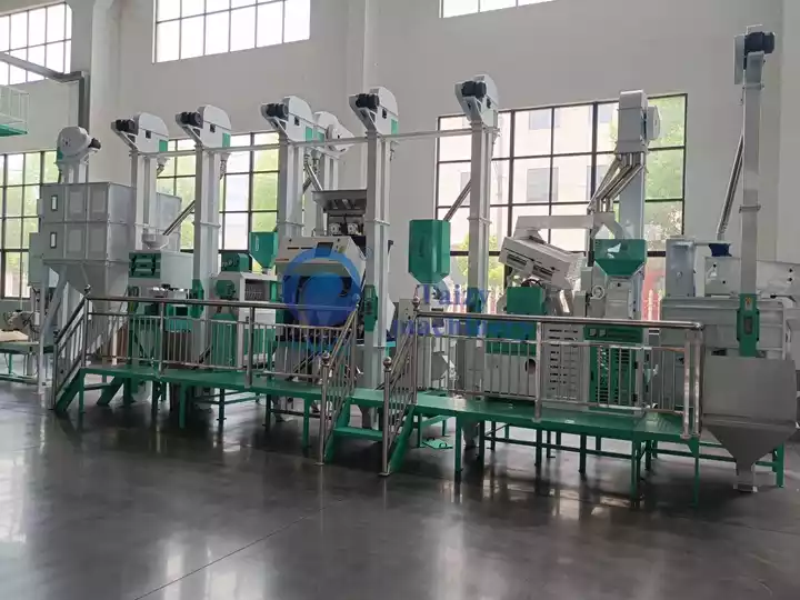 White Rice Processing Service