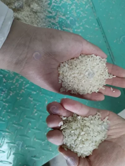 Producción de arroz blanco