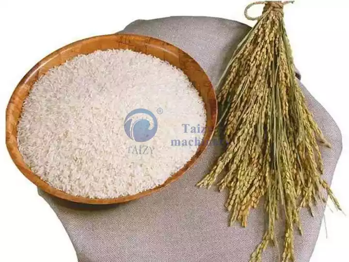 Production de riz blanc