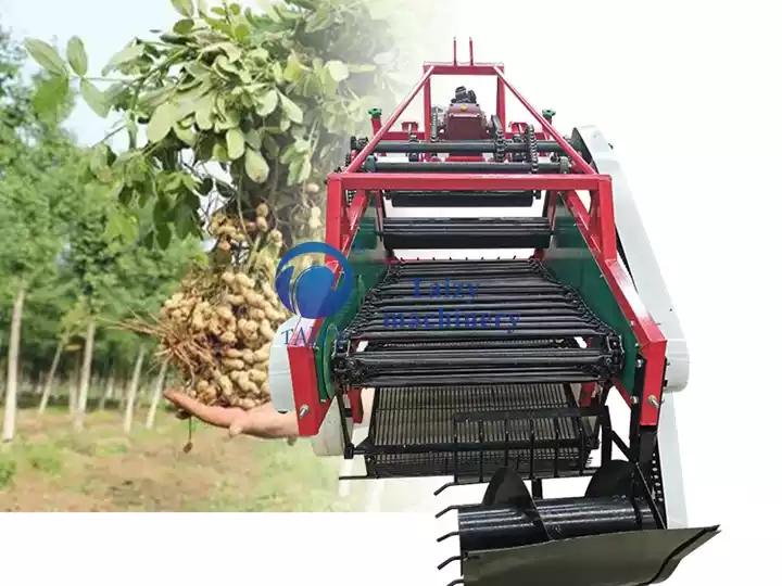 Automatic Peanut Harvester For Sale