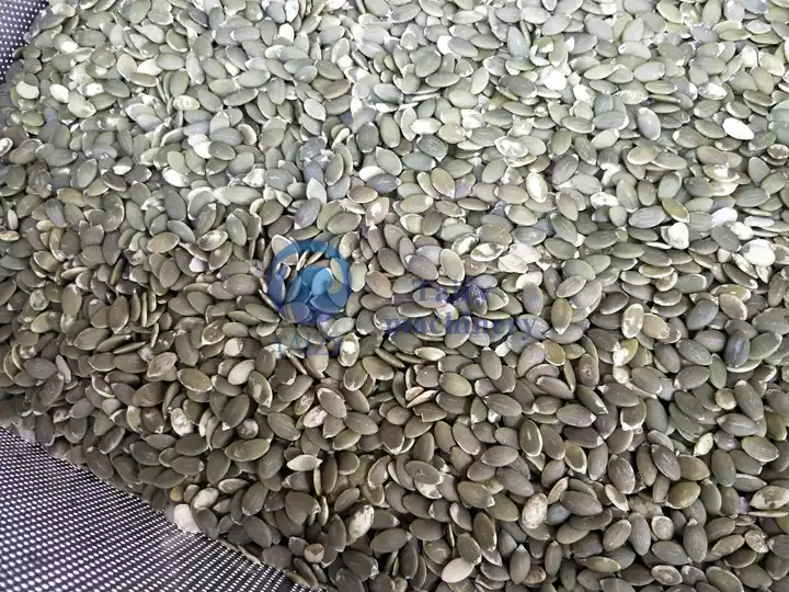 pumpkin seeds