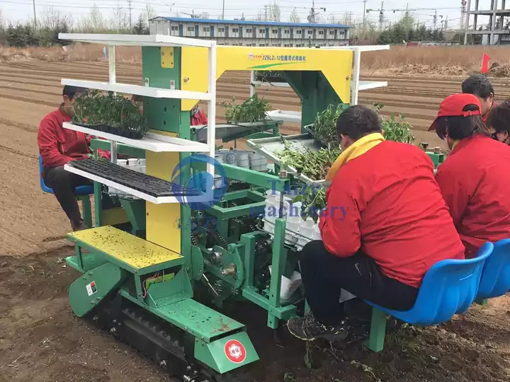 crawler transplanter working site