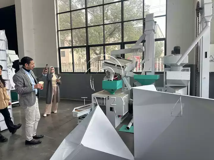 rice mill processing plant visit
