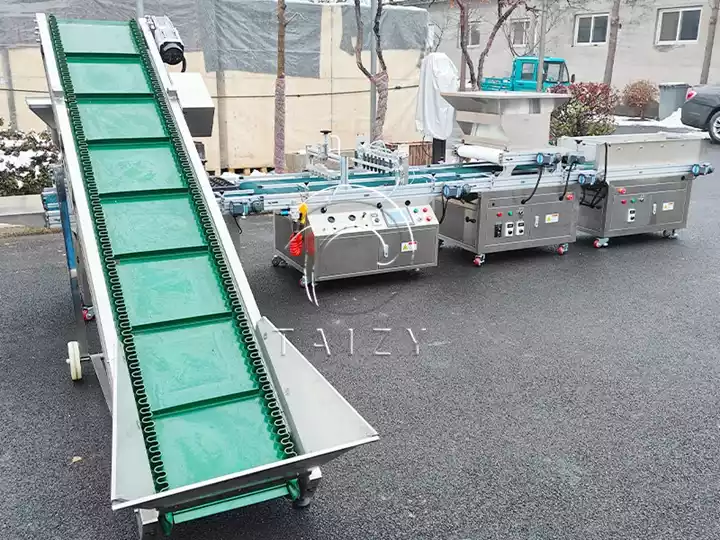 automatic nursery tray seeder