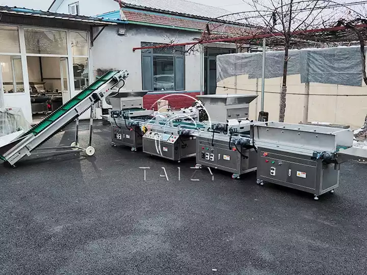 automatic seedling machine