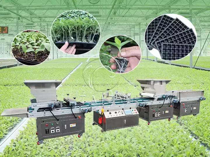 nursery seedling machine